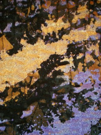 Fragments #8