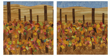 Vineyard: #3 and #4